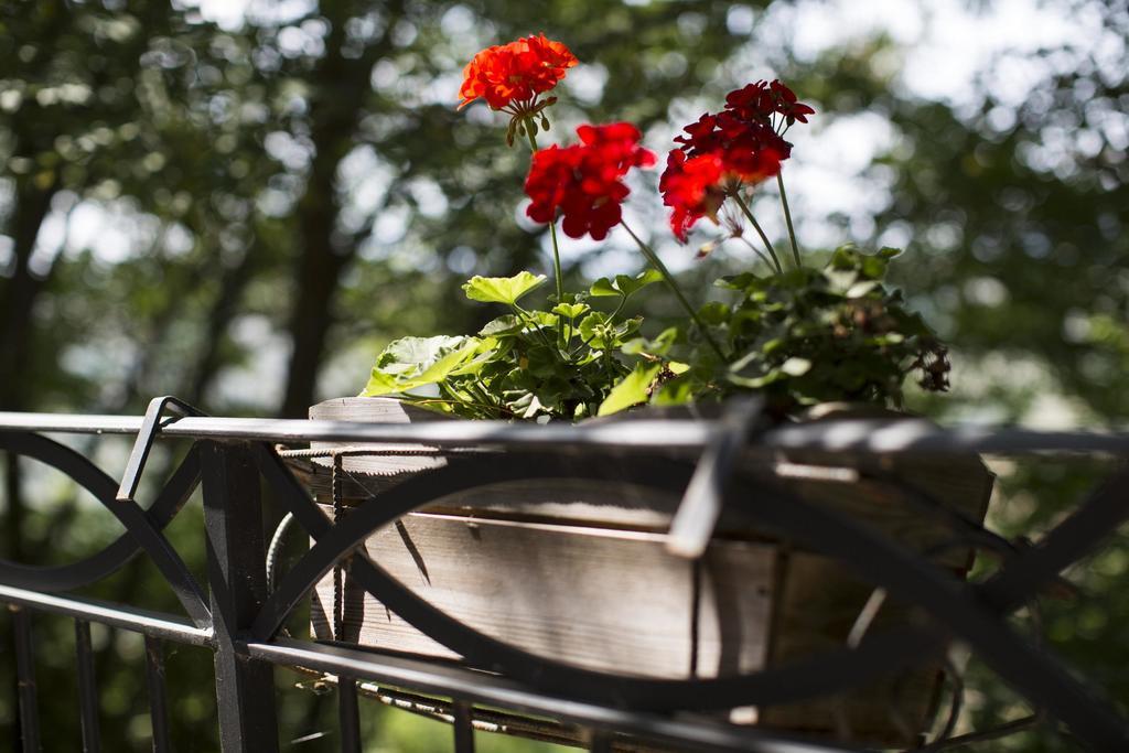 B&B Ca Biocco Sogliano al Rubicone エクステリア 写真