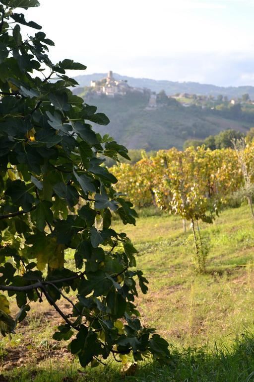 B&B Ca Biocco Sogliano al Rubicone エクステリア 写真